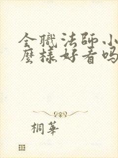 全职法师小说怎么样好看吗