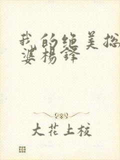 我的绝美总裁老婆杨锋