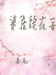 消失的十一层免费在线观看