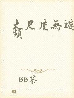 大尺度无遮挡视频