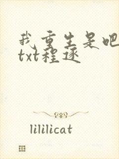 我重生是吧程逐txt程逐