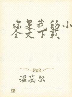 你是我的小确幸全文下载