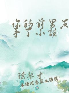 你的前男友我接手了小说