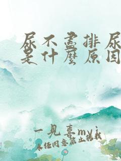 尿不尽排尿困难是什么原因