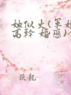 她似火(军婚 高干 婚恋)全文免费阅读