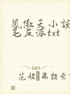 凤傲天小说里黄毛反派txt