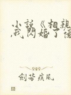 小说《相亲当天,我闪婚了亿万富豪》
