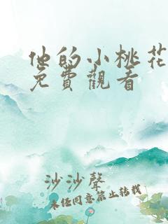 他的小桃花短剧免费观看