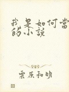 我是如何当神豪的小说