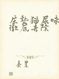 床垫猫尿味怎么彻底去除