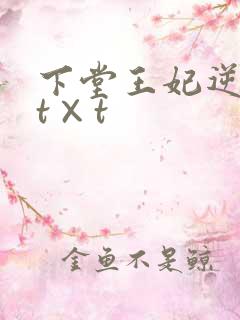 下堂王妃逆袭记t×t