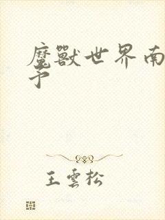 魔兽世界南音梦予