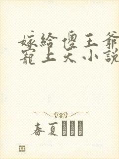 嫁给傻王爷后被宠上天小说