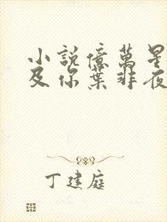 小说亿万星辰不及你叶非夜