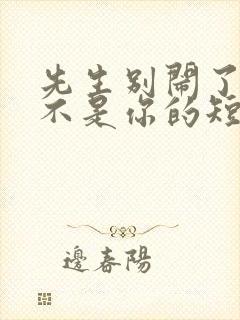 先生别闹了新娘不是你的短剧免费