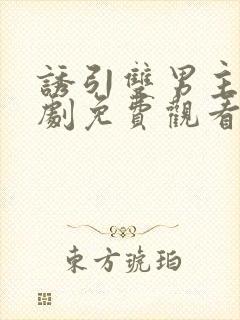 诱引双男主电视剧免费观看全集