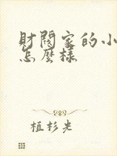 财阀家的小儿子怎么样