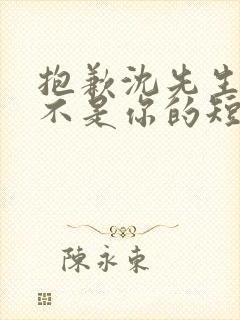 抱歉沈先生孩子不是你的短剧在线观看