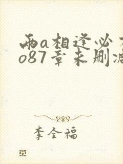 两a相逢必有一o87章未删减版