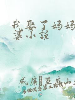 我娶了妈妈当老婆小说