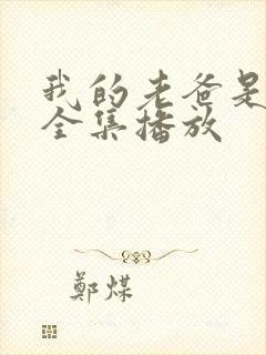 我的老爸是保安全集播放