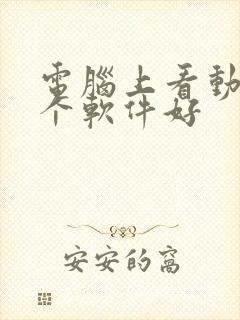 电脑上看动漫哪个软件好