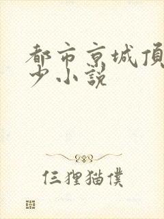 都市京城顶级大少小说
