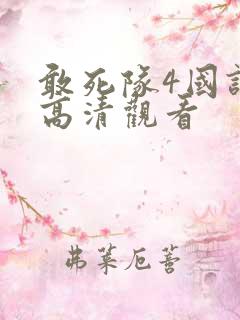 敢死队4国语版高清观看