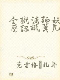 全职法师妖男怎么认识莫凡的