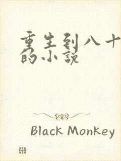 重生到八十年代的小说