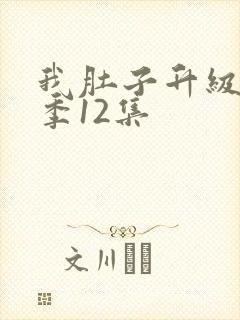 我肚子升级第二季12集