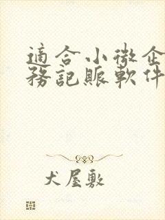 适合小微企业财务记账软件