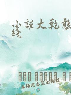 小说大乾憨婿在线