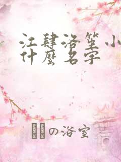 江肆洛笙小说叫什么名字