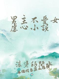 男主不爱女主的虐心小说