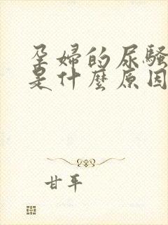 孕妇的尿骚味重是什么原因