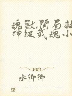 魂兽,开局抽到神级武魂小说免费