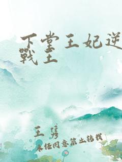 下堂王妃逆袭记战王