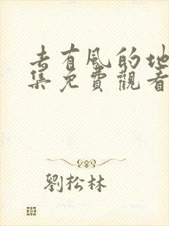 去有风的地方全集免费观看高清