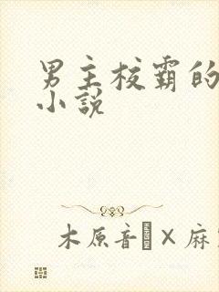 男主校霸的校园小说