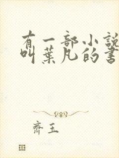 有一部小说主角叫叶凡的书名