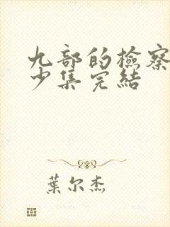 九部的检察官多少集完结