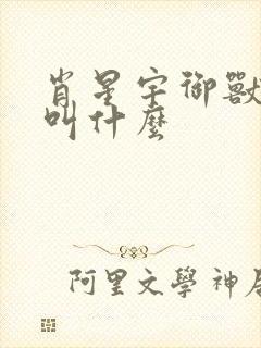 肖星宇御兽小说叫什么