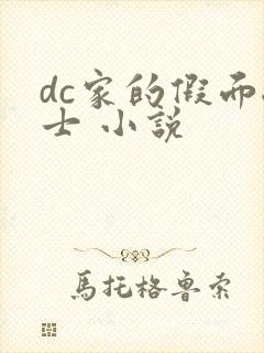 dc家的假面骑士 小说