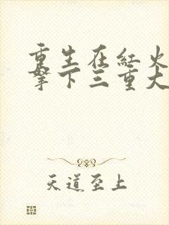 重生在红火年代拿下三重大奖的小说