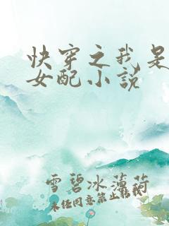 快穿之我是恶毒女配小说