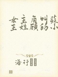 女主角叫苏禾男主姓顾的小说