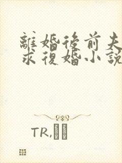 离婚后前夫哭着求复婚小说全文在线阅读