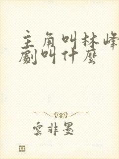 主角叫林峰的短剧叫什么