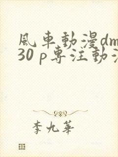 风车动漫dm530 p专注动漫的门户网站